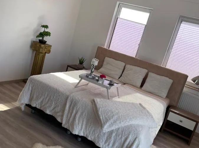 Evelina * Steinheim (Westphalia)