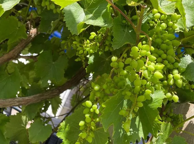 Hébergement de vacances Evelina